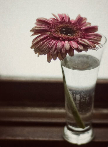 flower1