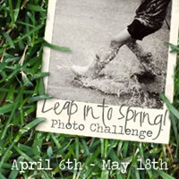 Leap Into Spring! Photo Challenge